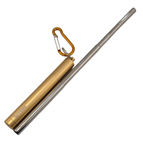 Telescopic Straw - Gold