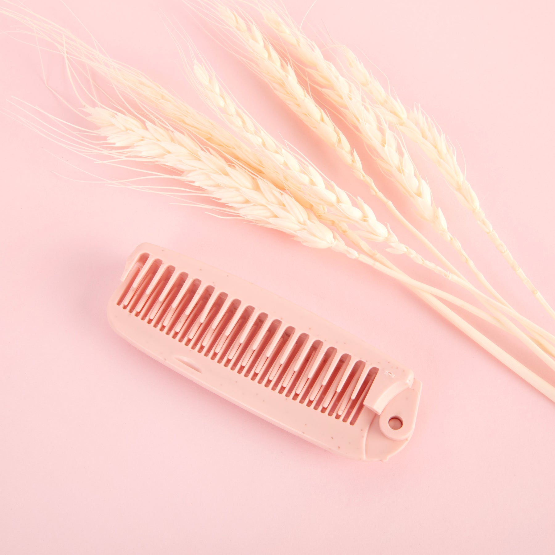 Foldable Hair Brush and Comb - Pink